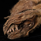 Zhùr teeth